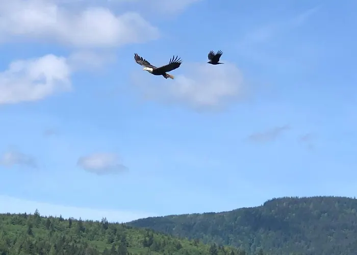 World Cup Stay-Lake Samish Getaway